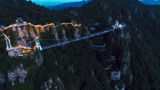 午夜熟女插插XX免费视频