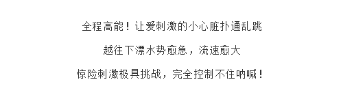 午夜熟女插插XX免费视频