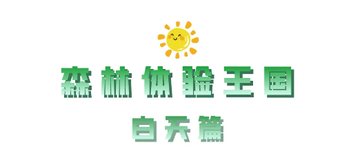 午夜熟女插插XX免费视频