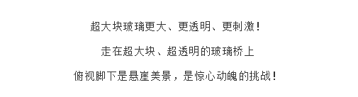 午夜熟女插插XX免费视频