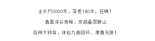 午夜熟女插插XX免费视频