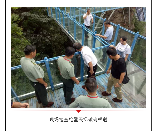 午夜熟女插插XX免费视频