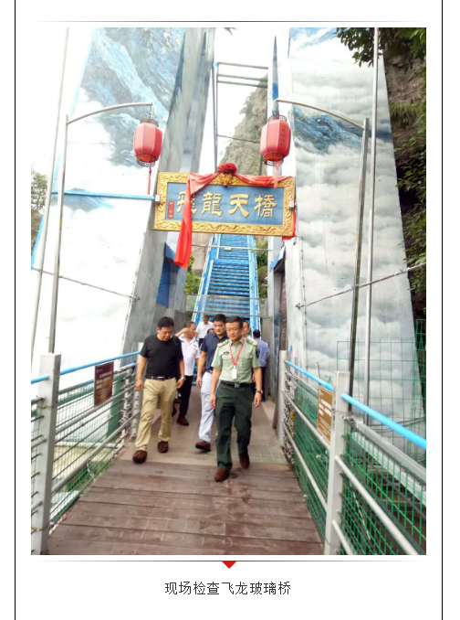 午夜熟女插插XX免费视频