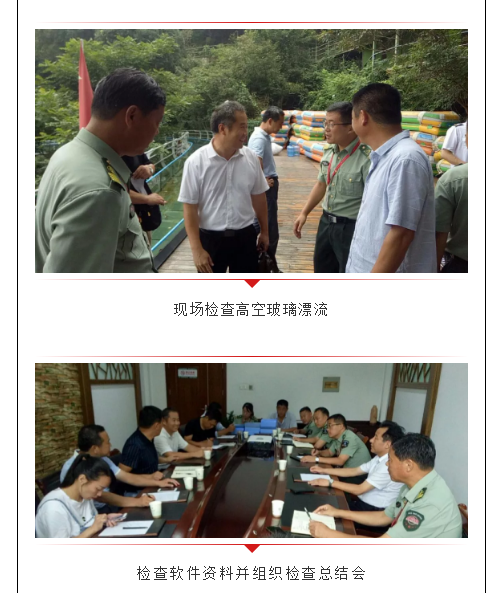 午夜熟女插插XX免费视频