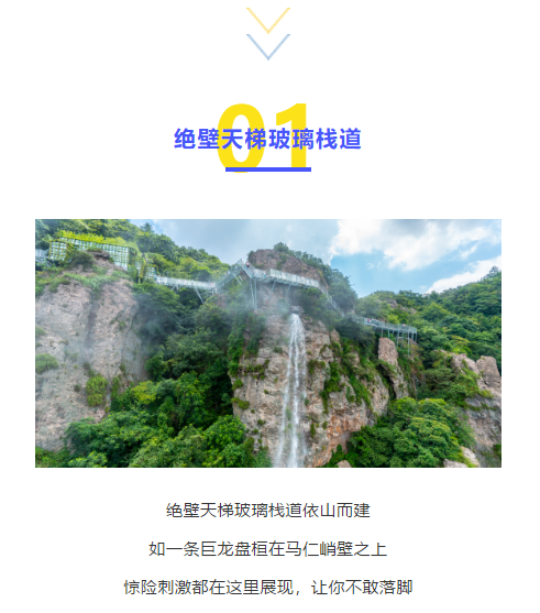 午夜熟女插插XX免费视频