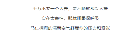 午夜熟女插插XX免费视频