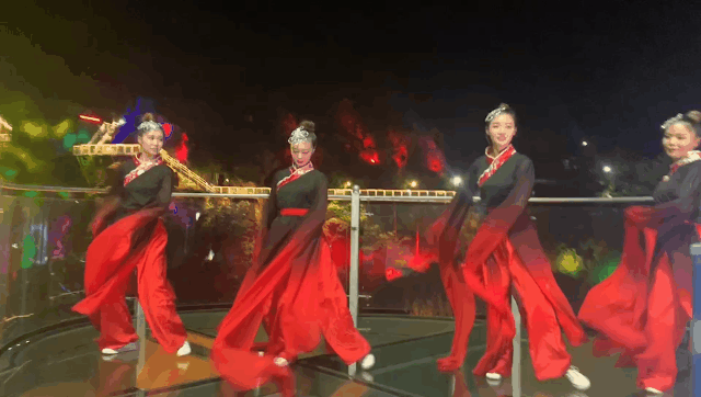 午夜熟女插插XX免费视频