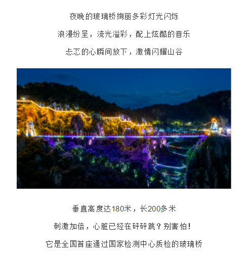 午夜熟女插插XX免费视频