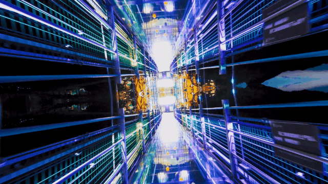 午夜熟女插插XX免费视频