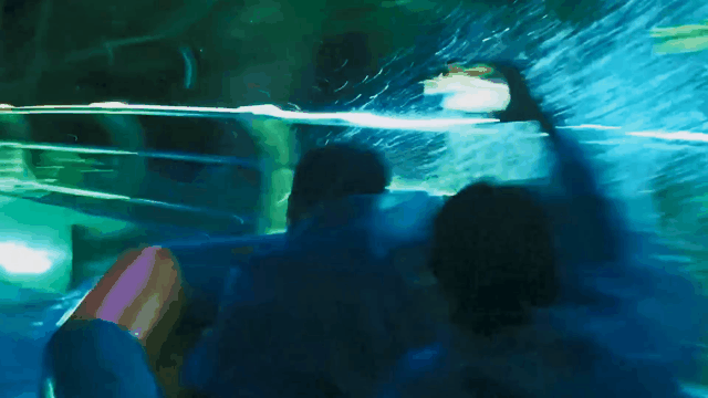 午夜熟女插插XX免费视频