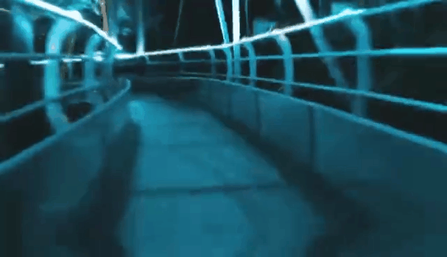 午夜熟女插插XX免费视频