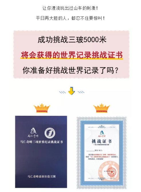 午夜熟女插插XX免费视频