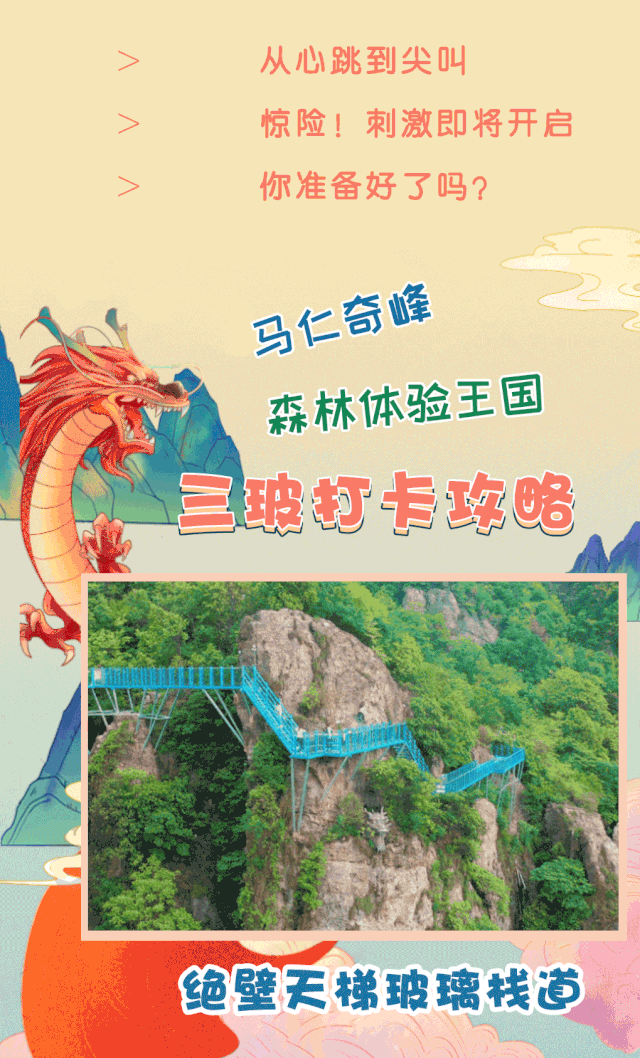 午夜熟女插插XX免费视频