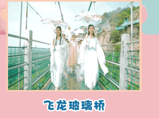 午夜熟女插插XX免费视频