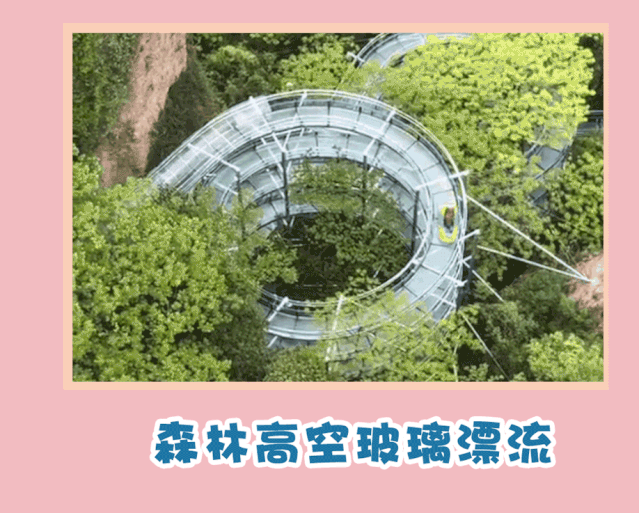 午夜熟女插插XX免费视频