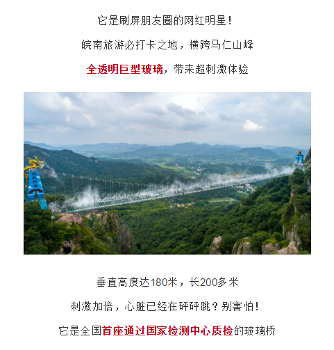 午夜熟女插插XX免费视频