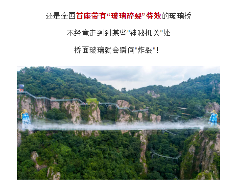 午夜熟女插插XX免费视频