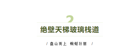 午夜熟女插插XX免费视频