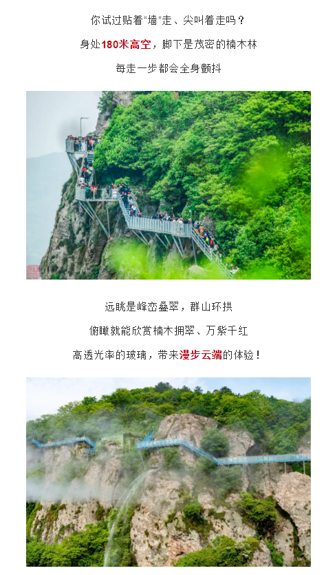 午夜熟女插插XX免费视频