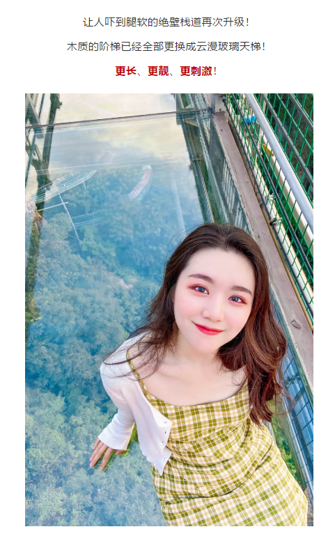 午夜熟女插插XX免费视频