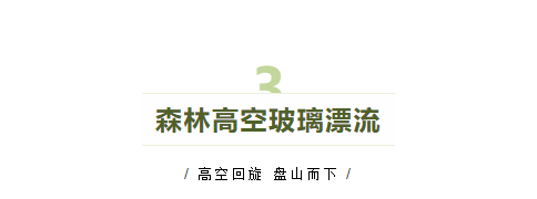 午夜熟女插插XX免费视频