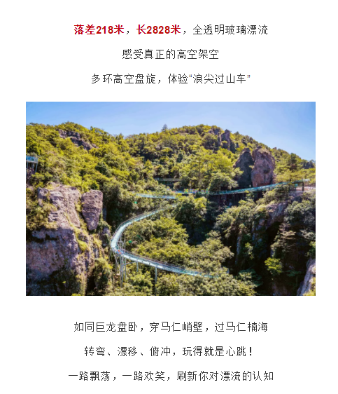 午夜熟女插插XX免费视频