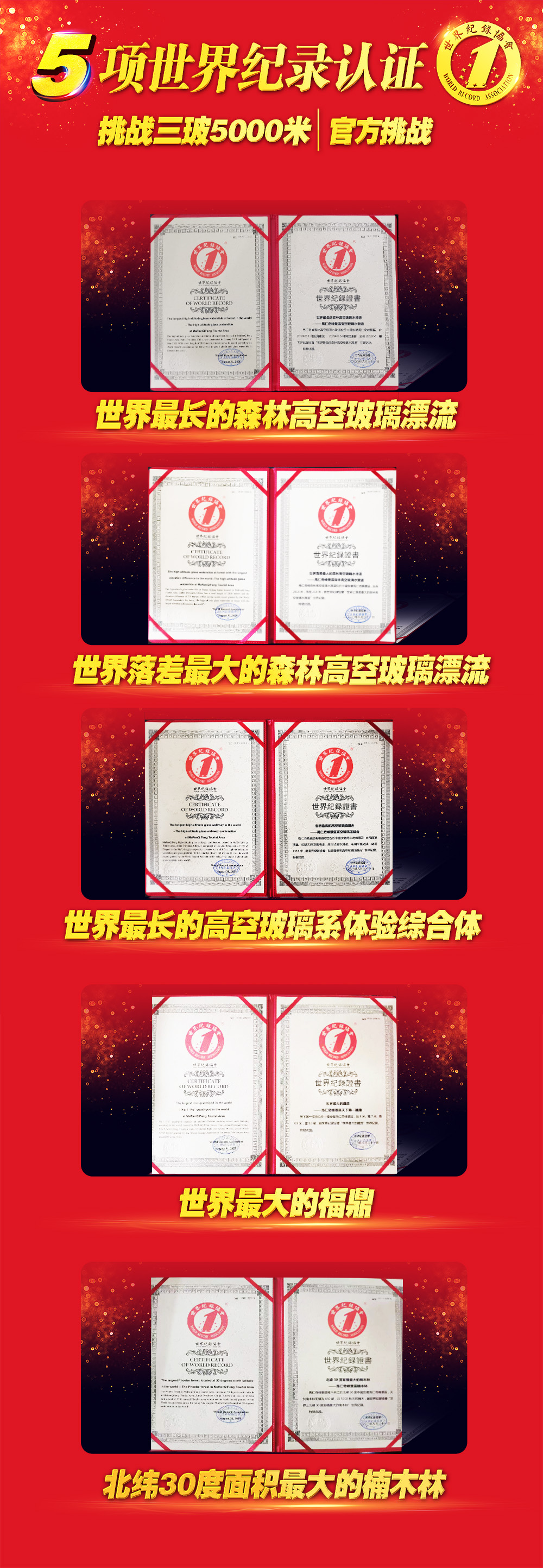 午夜熟女插插XX免费视频