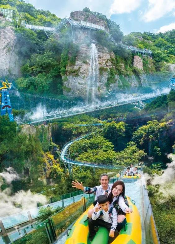 午夜熟女插插XX免费视频