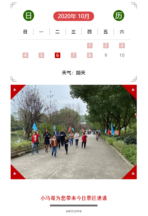 午夜熟女插插XX免费视频