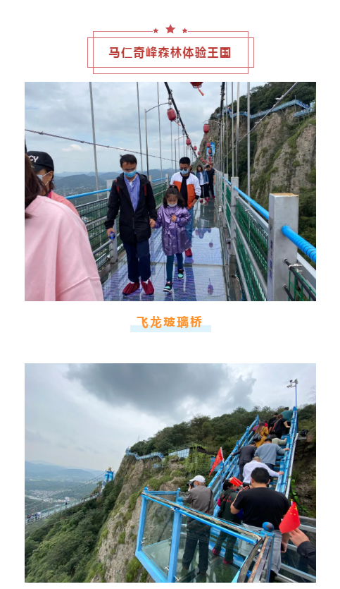 午夜熟女插插XX免费视频