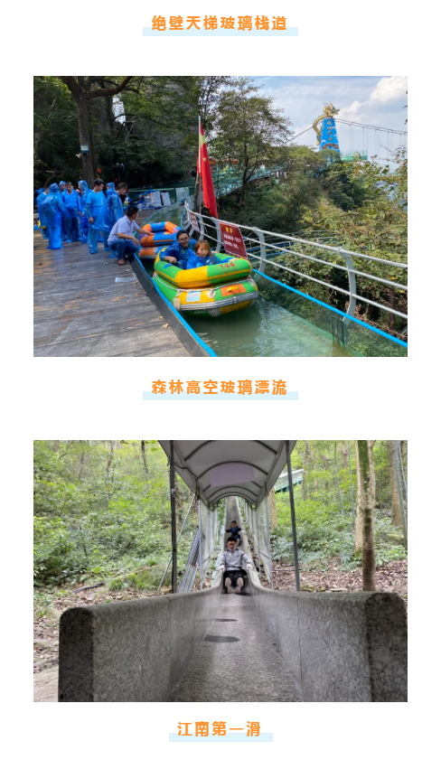 午夜熟女插插XX免费视频