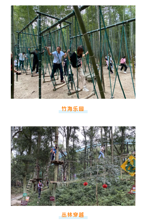 午夜熟女插插XX免费视频