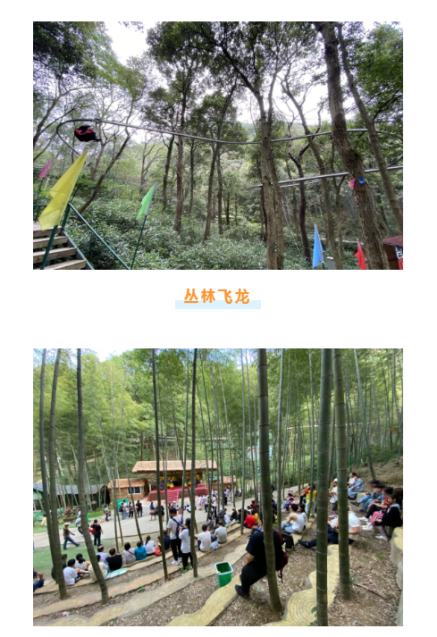 午夜熟女插插XX免费视频