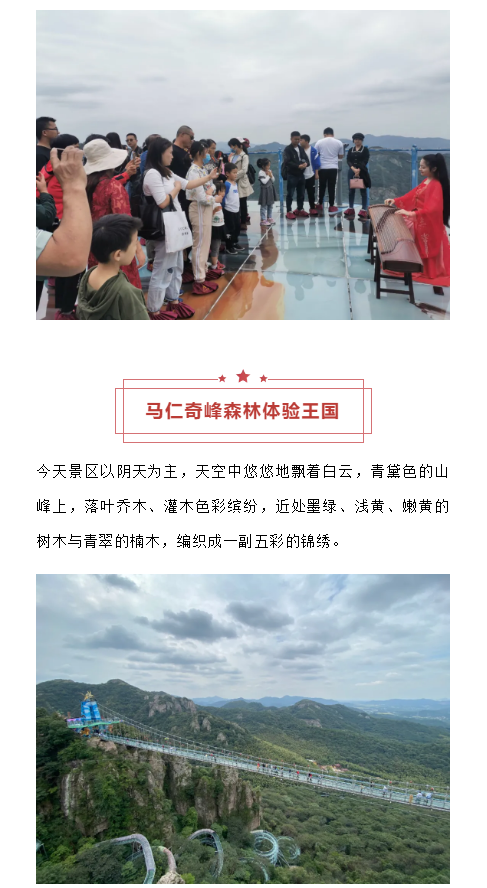 午夜熟女插插XX免费视频