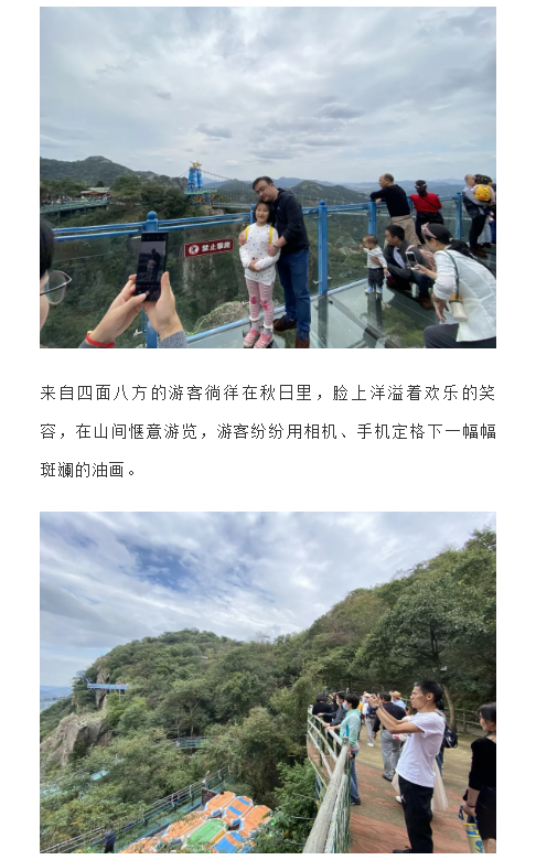 午夜熟女插插XX免费视频