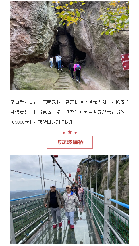 午夜熟女插插XX免费视频