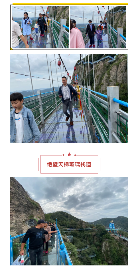 午夜熟女插插XX免费视频