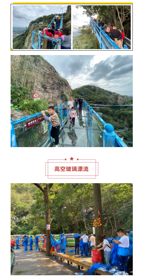 午夜熟女插插XX免费视频