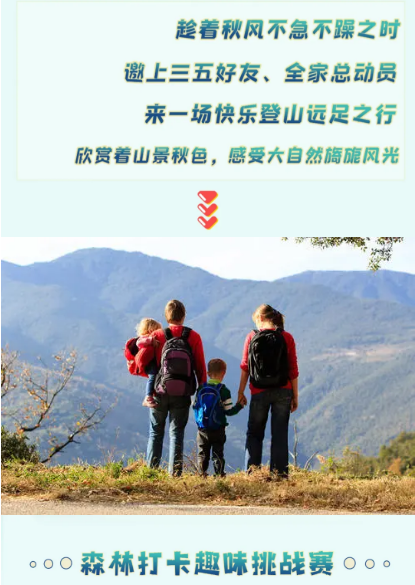 午夜熟女插插XX免费视频