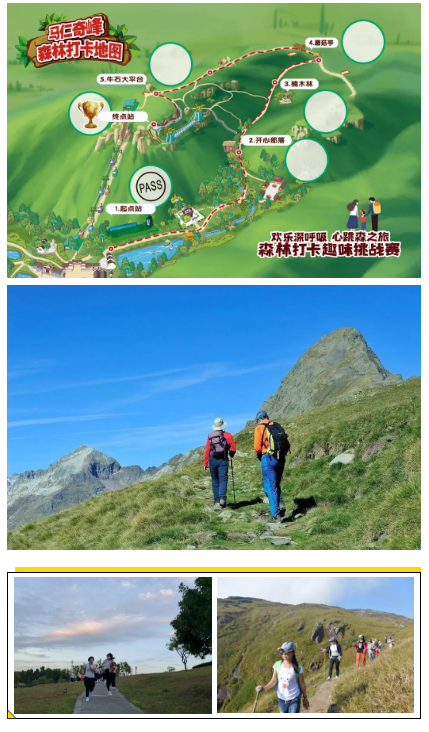 午夜熟女插插XX免费视频