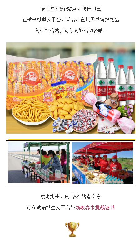 午夜熟女插插XX免费视频