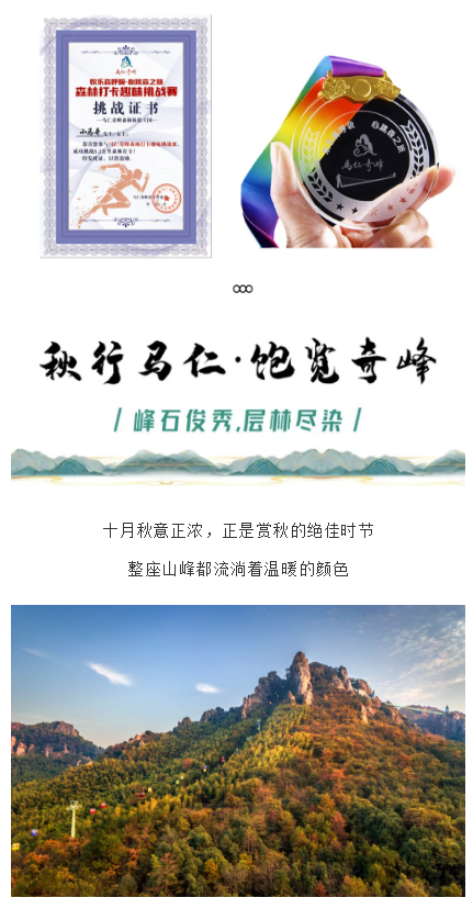 午夜熟女插插XX免费视频