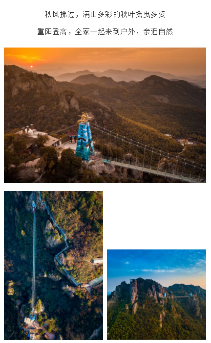 午夜熟女插插XX免费视频