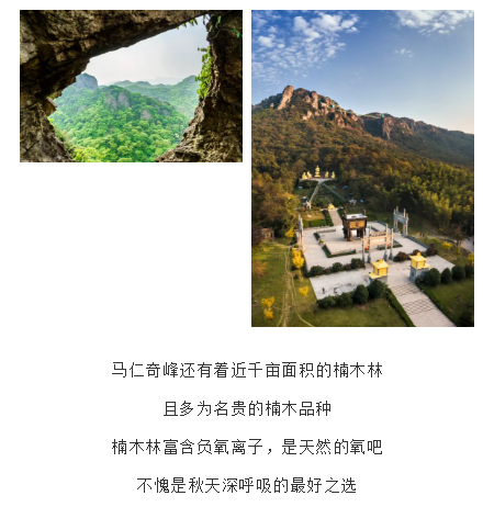 午夜熟女插插XX免费视频