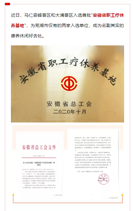 午夜熟女插插XX免费视频