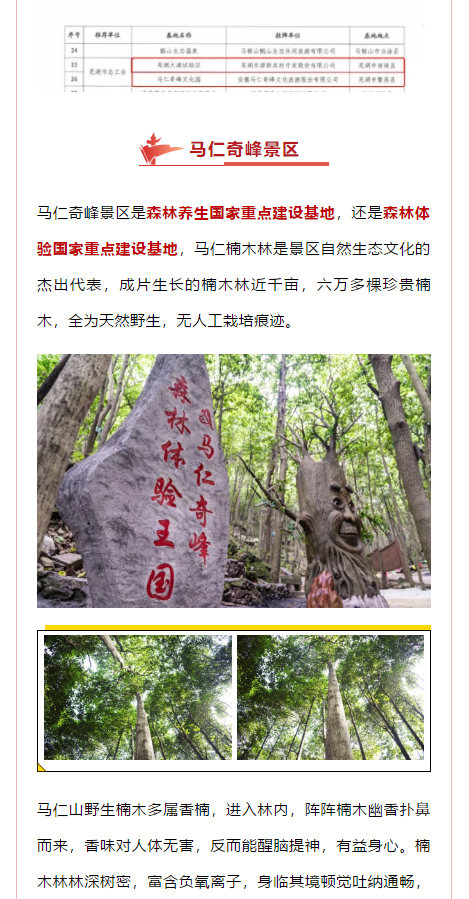 午夜熟女插插XX免费视频