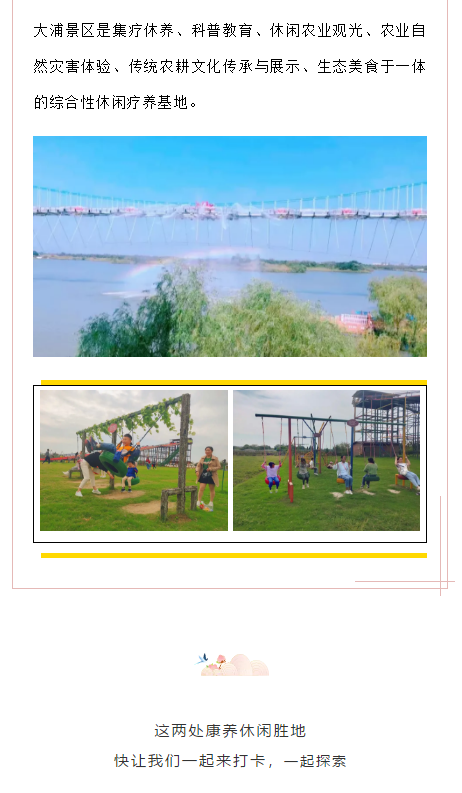 午夜熟女插插XX免费视频