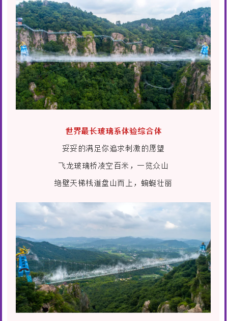 午夜熟女插插XX免费视频