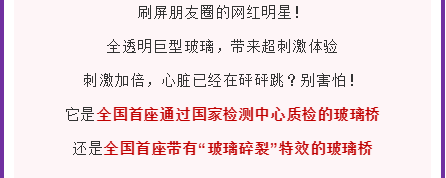 午夜熟女插插XX免费视频