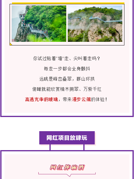 午夜熟女插插XX免费视频